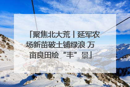 聚焦北大荒丨延军农场新苗破土铺绿浪 万亩良田绘“丰”景