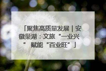 聚焦高质量发展｜安徽巢湖：文旅“一业兴” 赋能“百业旺”