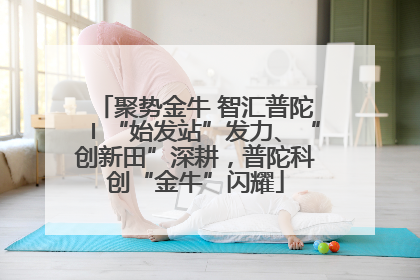聚势金牛 智汇普陀〡“始发站”发力、“创新田”深耕，普陀科创“金牛”闪耀
