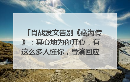 肖战发文告别《藏海传》：真心地为你开心，有这么多人懂你，导演回应“是否有第二季”