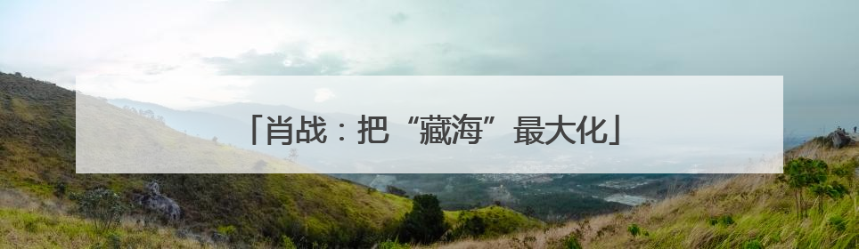 肖战：把“藏海”最大化