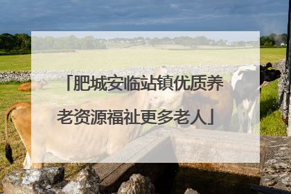 肥城安临站镇优质养老资源福祉更多老人
