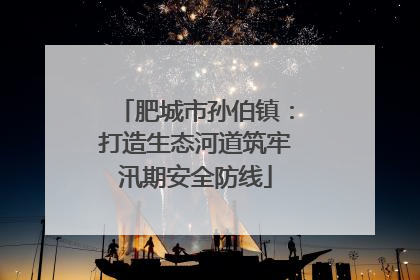 肥城市孙伯镇：打造生态河道筑牢汛期安全防线