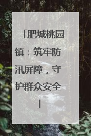 肥城桃园镇：筑牢防汛屏障，守护群众安全