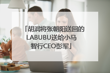 胡润将张朝阳送回的LABUBU送给小马智行CEO彭军