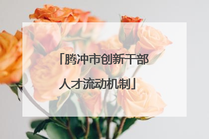 腾冲市创新干部人才流动机制
