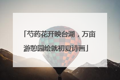 芍药花开映台湖，万亩游憩园绘就初夏诗画