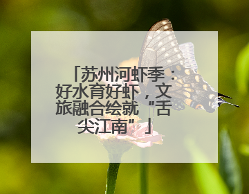 苏州河虾季：好水育好虾，文旅融合绘就“舌尖江南”