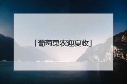 葡萄果农迎夏收
