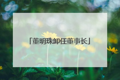 董明珠卸任董事长