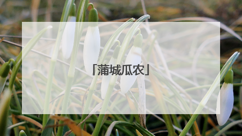 蒲城瓜农