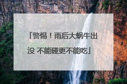 警惕！雨后大蜗牛出没 不能碰更不能吃