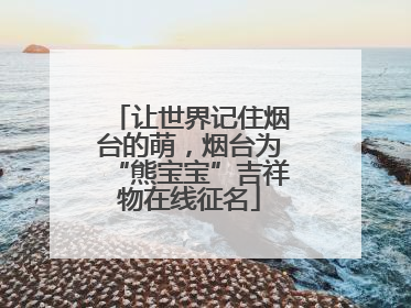 让世界记住烟台的萌，烟台为“熊宝宝”吉祥物在线征名