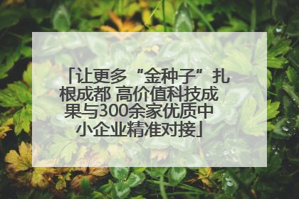 让更多“金种子”扎根成都 高价值科技成果与300余家优质中小企业精准对接