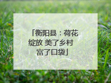 衡阳县：荷花绽放 美了乡村 富了口袋