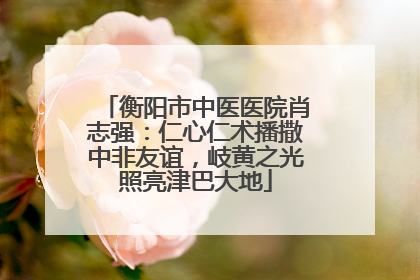 衡阳市中医医院肖志强：仁心仁术播撒中非友谊，岐黄之光照亮津巴大地