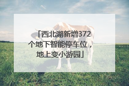 西北湖新增372个地下智能停车位，地上变小游园