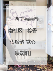 西宁福禄巷南社区：粽香传廉韵 党心映端阳