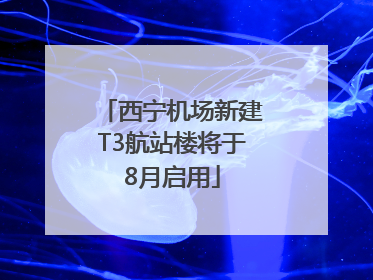 西宁机场新建T3航站楼将于8月启用