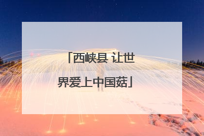 西峡县 让世界爱上中国菇