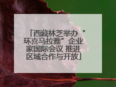 西藏林芝举办“环喜马拉雅”企业家国际会议 推进区域合作与开放