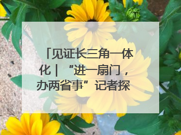 见证长三角一体化｜“进一扇门，办两省事”记者探访苏皖“两省一街”警务室