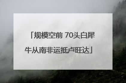 规模空前 70头白犀牛从南非运抵卢旺达