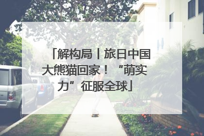 解构局丨旅日中国大熊猫回家！“萌实力”征服全球