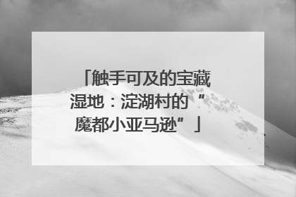 触手可及的宝藏湿地:淀湖村的“魔都小亚马逊”