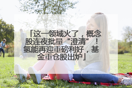 这一领域火了，概念股连夜批量“澄清”！氢能再迎重磅利好，基金重仓股出炉