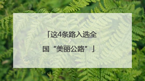 这4条路入选全国“美丽公路”