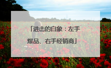 进击的白象：左手爆品、右手经销商