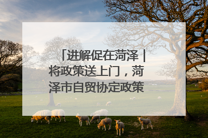 进解促在菏泽｜将政策送上门，菏泽市自贸协定政策专题宣讲会召开