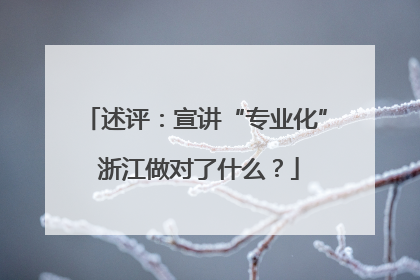 述评：宣讲“专业化” 浙江做对了什么？