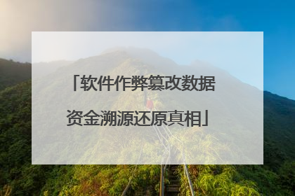 软件作弊篡改数据 资金溯源还原真相