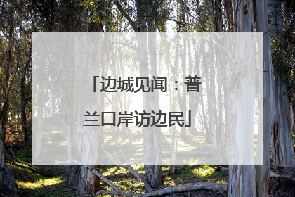 边城见闻：普兰口岸访边民