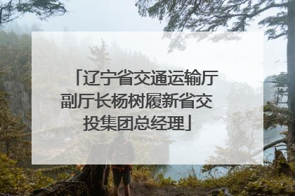 辽宁省交通运输厅副厅长杨树履新省交投集团总经理