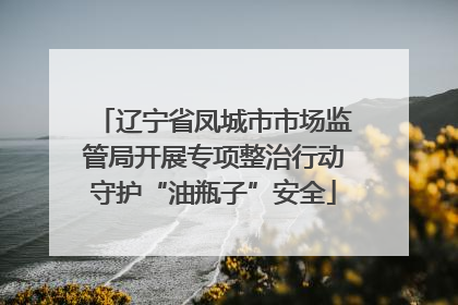 辽宁省凤城市市场监管局开展专项整治行动守护“油瓶子”安全