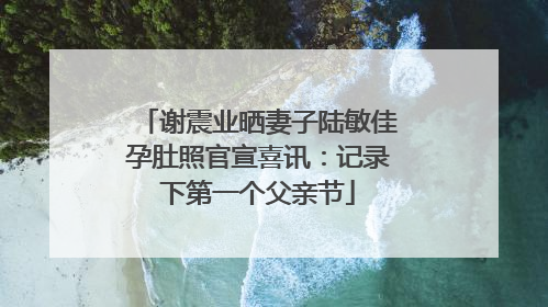 谢震业晒妻子陆敏佳孕肚照官宣喜讯：记录下第一个父亲节