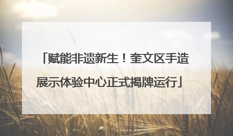 赋能非遗新生！奎文区手造展示体验中心正式揭牌运行