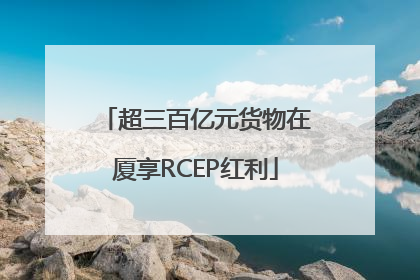超三百亿元货物在厦享RCEP红利