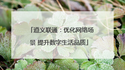 遵义联通：优化网络场景 提升数字生活品质