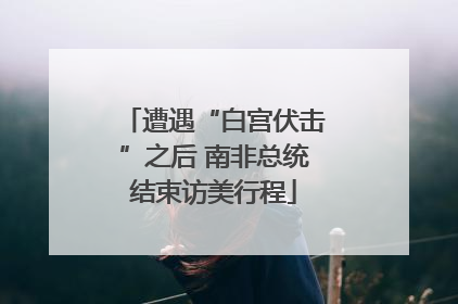 遭遇“白宫伏击”之后 南非总统结束访美行程