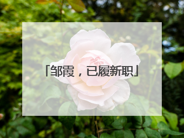 邹霞，已履新职