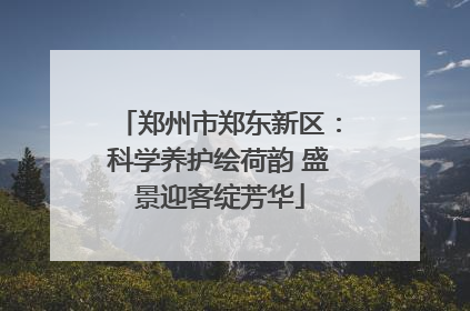 郑州市郑东新区：科学养护绘荷韵 盛景迎客绽芳华