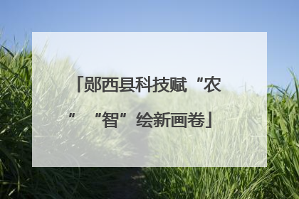 郧西县科技赋“农”“智”绘新画卷