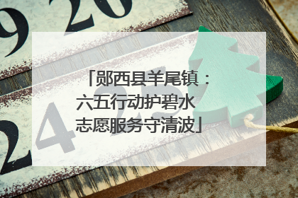 郧西县羊尾镇：六五行动护碧水 志愿服务守清波
