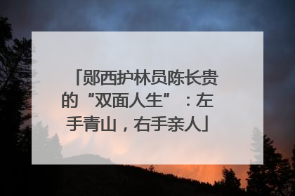 郧西护林员陈长贵的“双面人生”：左手青山，右手亲人
