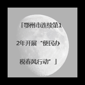 鄂州市连续第12年开展“便民办税春风行动”
