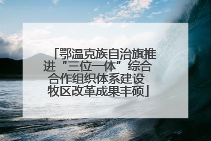 鄂温克族自治旗推进“三位一体”综合合作组织体系建设 牧区改革成果丰硕